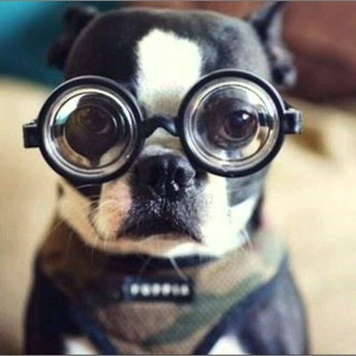 User profile image