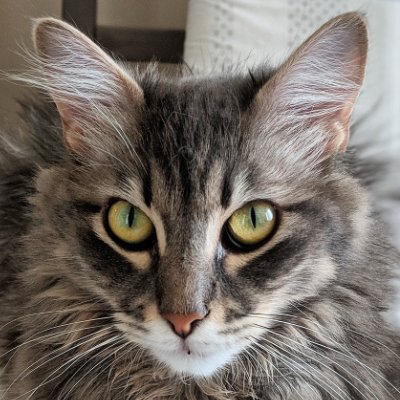 User profile image