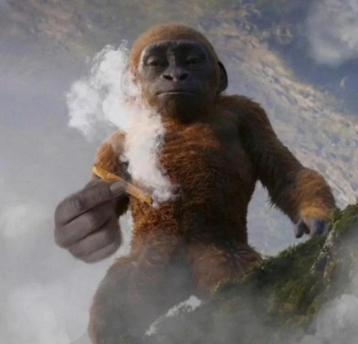 User profile image